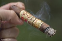ARTURO FUENTE 富恩特雪茄全系列品鉴 2013-2015 Halfwheel