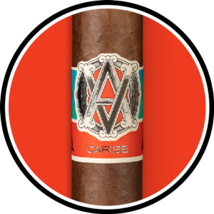 AVO Syncro Caribe COTY 2021 circle