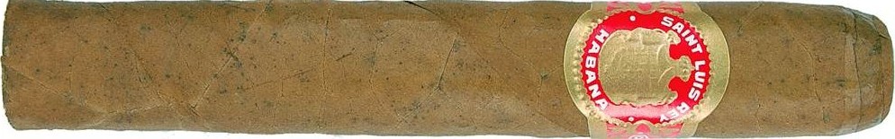 Saint Luis Rey Regios