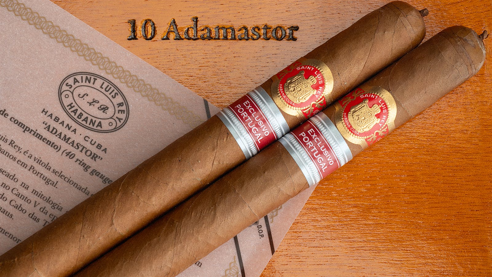Saint Luis Rey