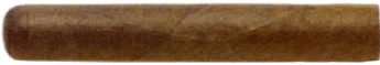 Robusto Robusto