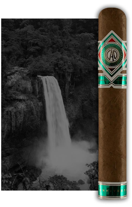CAO Cameroon|CAO 喀麦隆系列