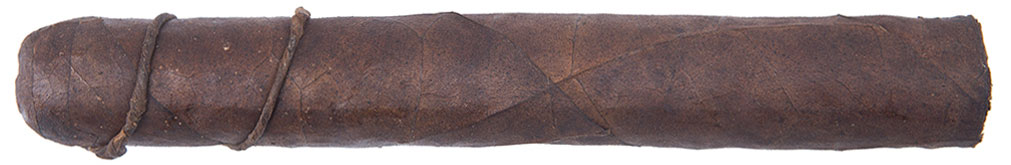 CAO Amazon Anaconda ｜ CAO 亚马逊 森蚺