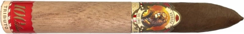 Aurora 100 Años Belicoso ｜ 奥罗拉100周年贝利科索